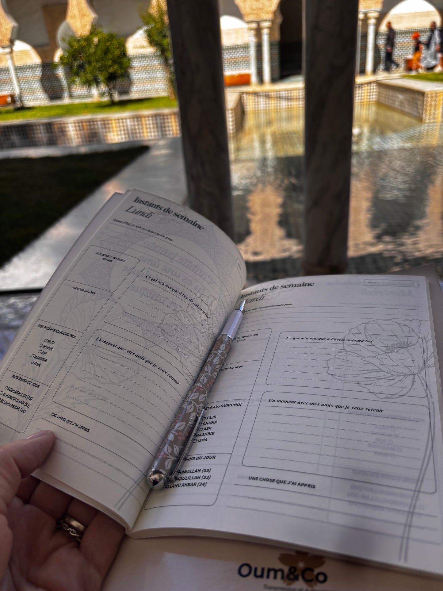 Carnet/Journal - UN BRIN DE VIE