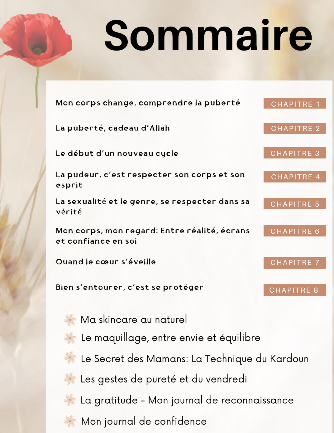 Brin de Fille – Livret sur la puberté et les menstruations à la lumière de l’islam. Nouvelle édition